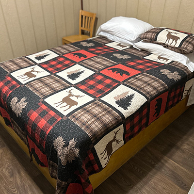 cabin 2 400 v2 copy